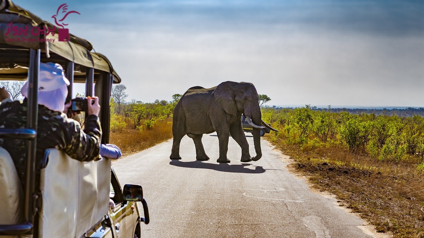 پارک ملی یا منطقه حفاظت شده حیات وحش در آفریقا، پارک ملی کروگر (Kruger National Park)