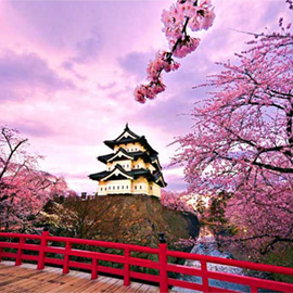 قلعه اوزاکا ژاپن
